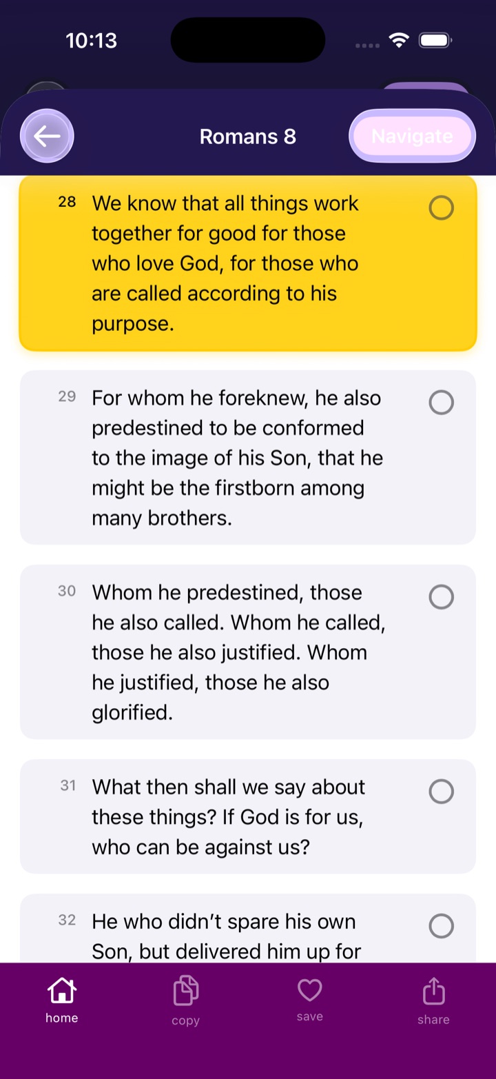 Romans chapter 8 in the Snap-A-Verse reader with verse 28 highlighted in gold.